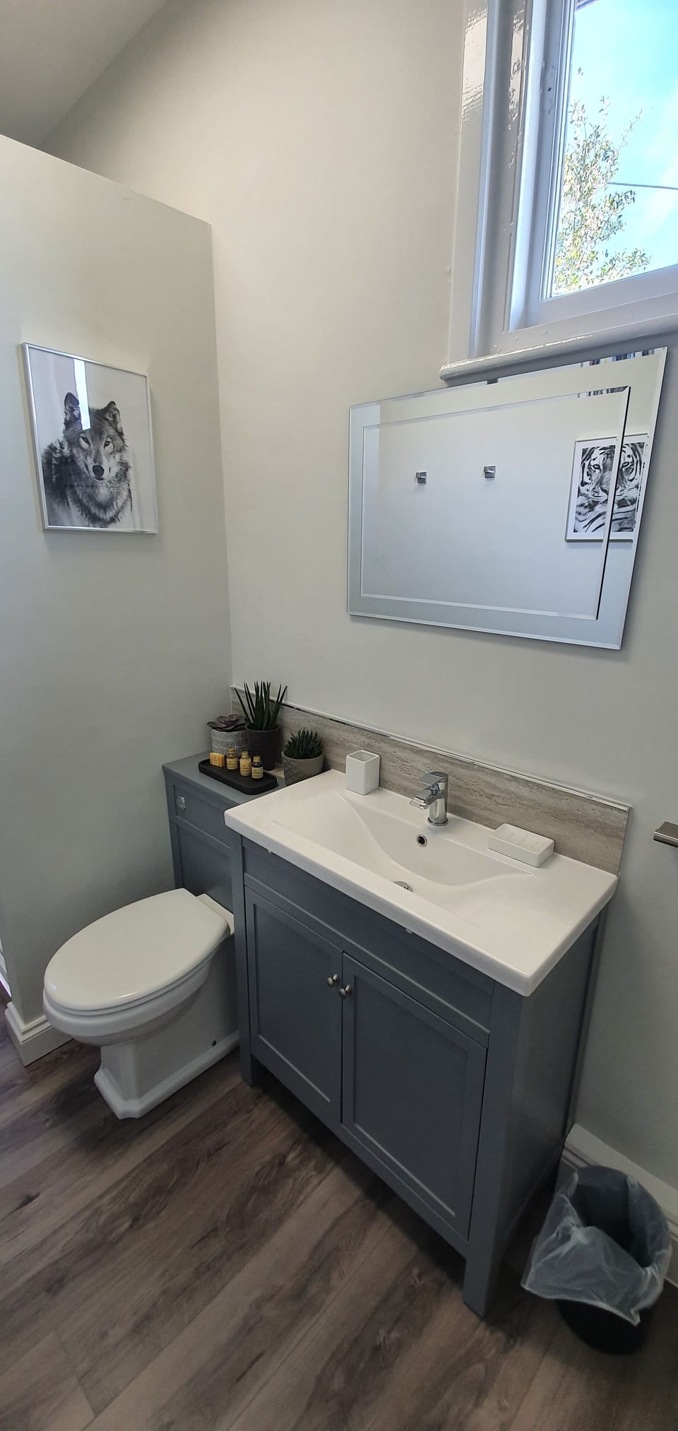 Bathroom jack and jill with walk in shower 