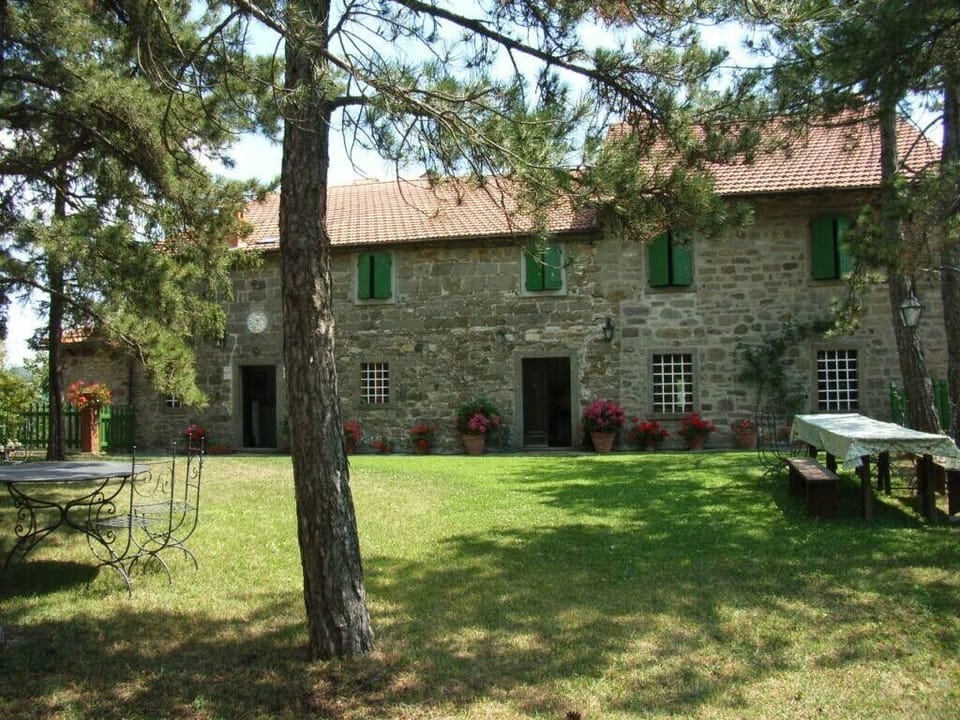 The front garden