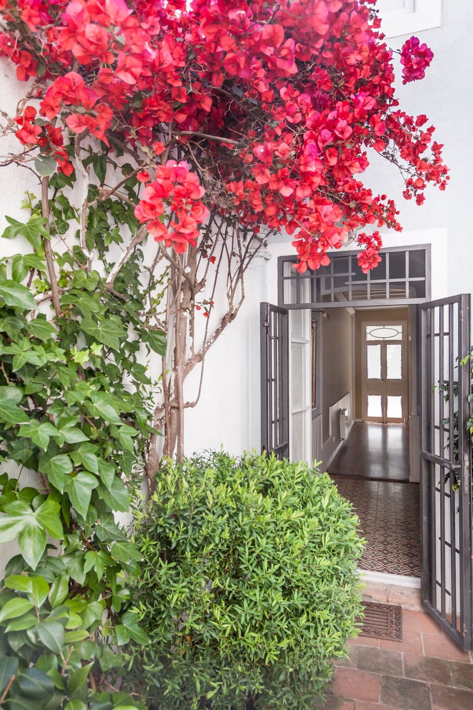 Leafy courtyard