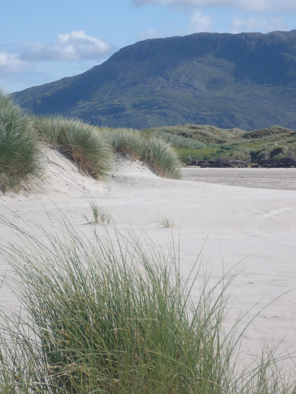 silver strand