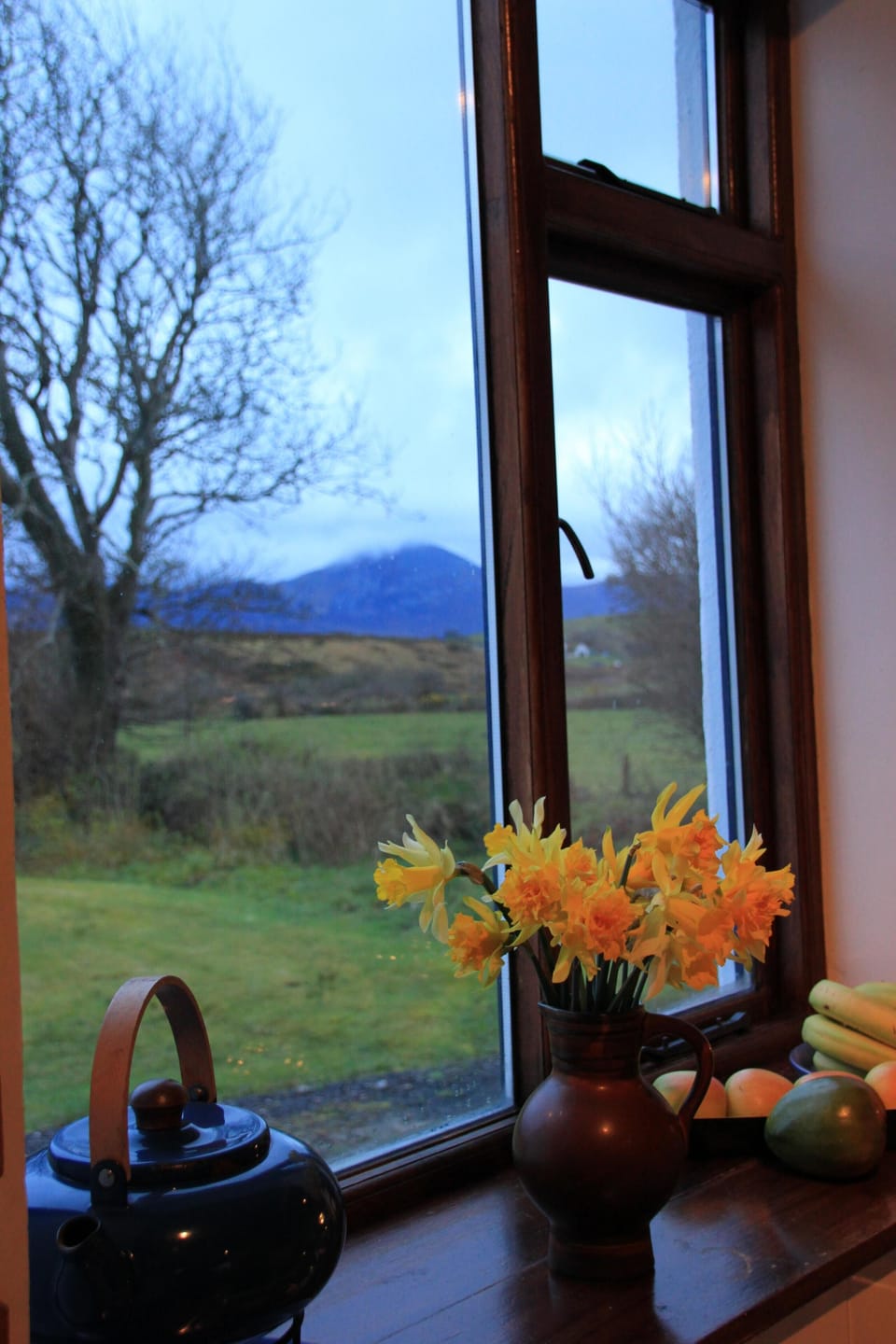 view from the kitchen