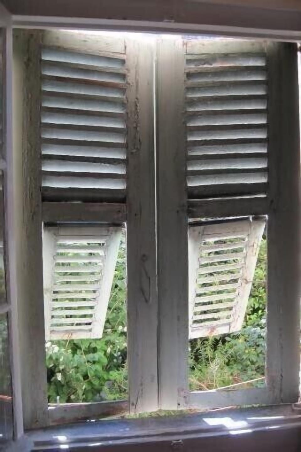 two windows in front of a garden