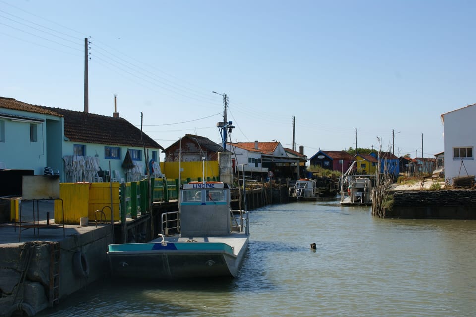 Studio 2 people with garden near sea and forest. its shops, its market ... Apartment in Nouvelle-Aquitaine