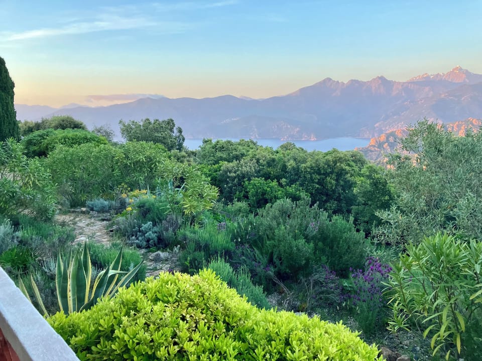 View from property