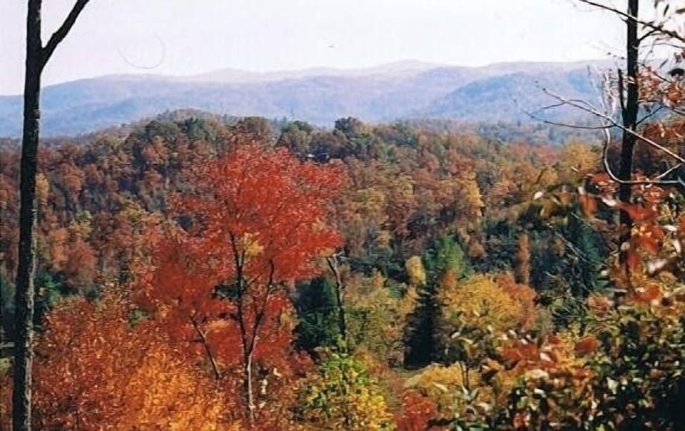 View from trail behind the Cabin in the Fall of the year