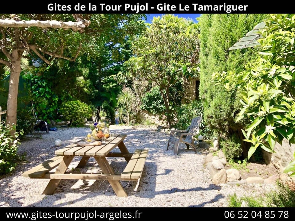 tamariguer - terrasse 2