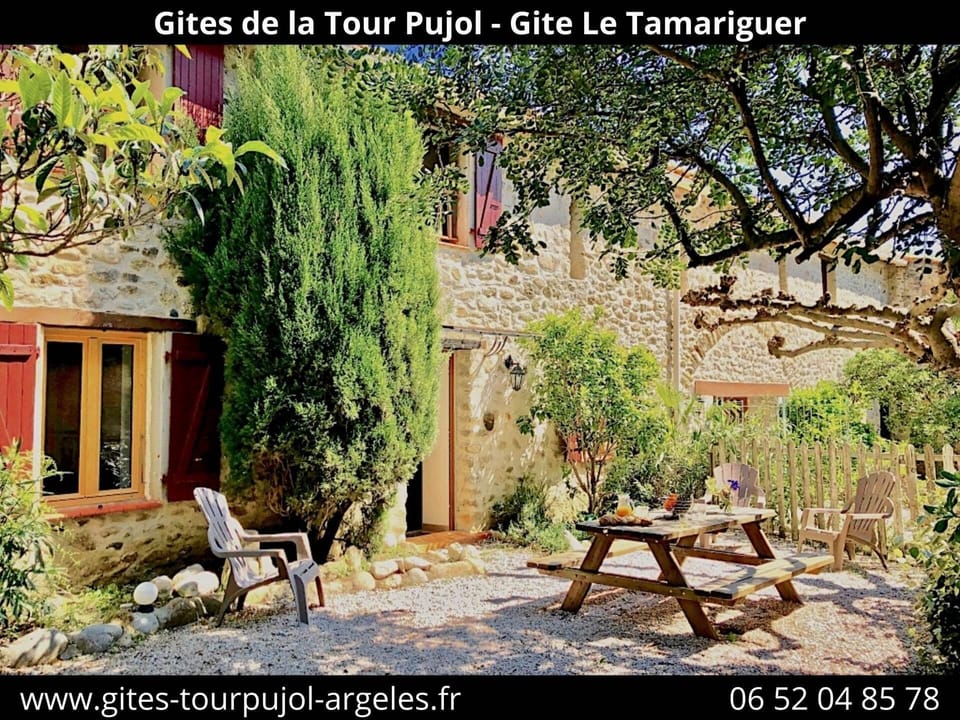 tamariguer - terrasse 1