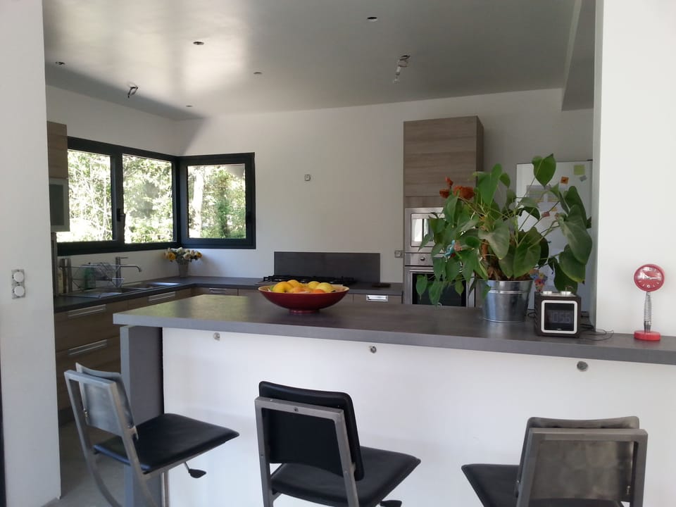 Contemporary open-plan kitchen with a bar
