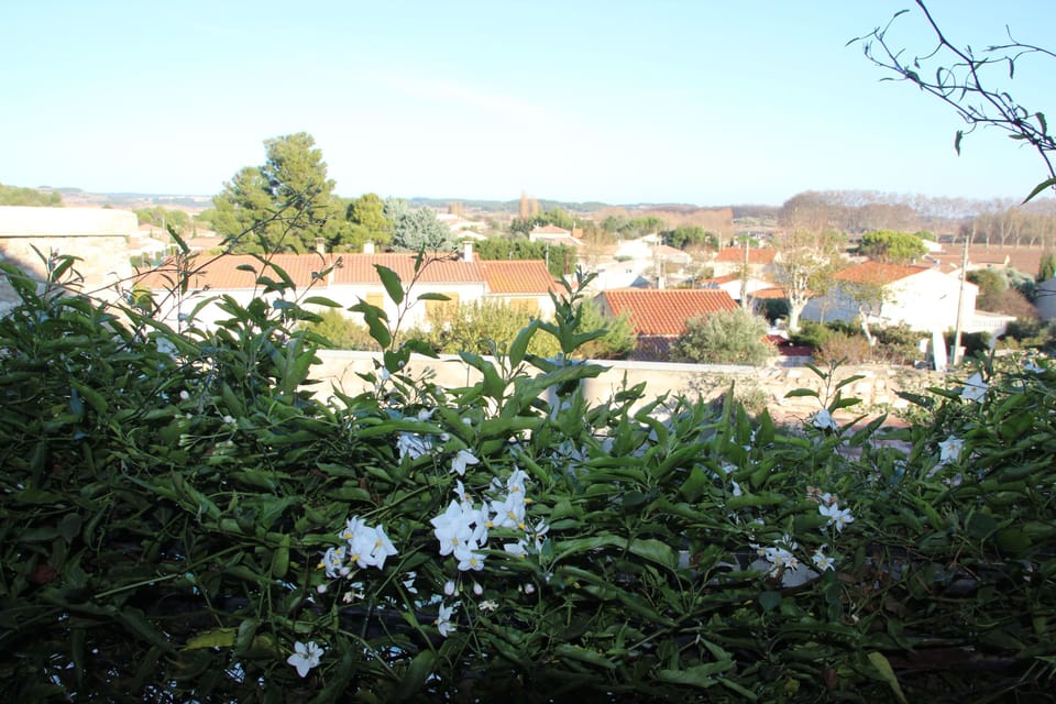 Views of the Canal du Midi, the village of Argeliers and the pool below