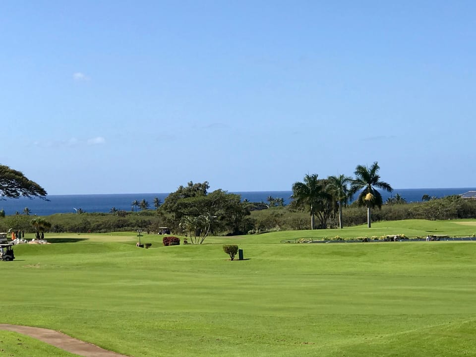 our distant ocean view