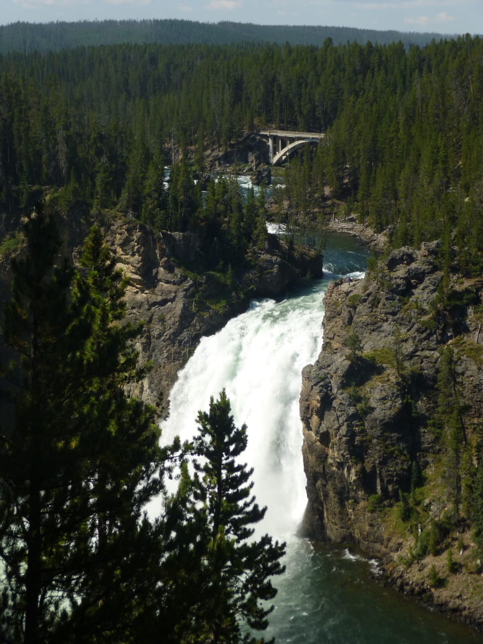 Yellowstone Falls