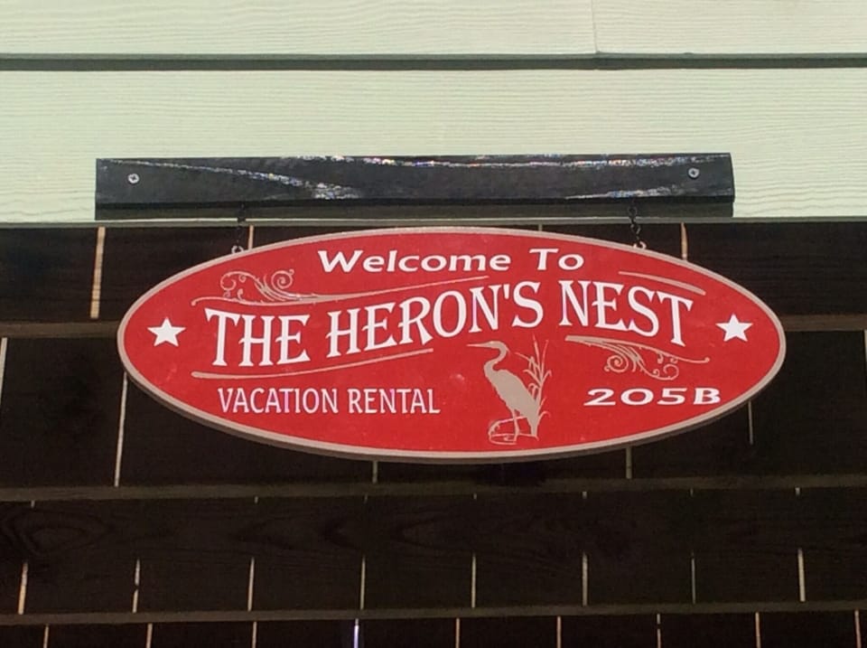 Heron's nest of Steinhatchee