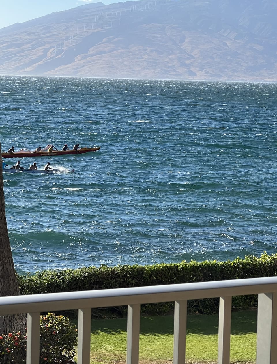 Watching Ocean Activities from Lanai