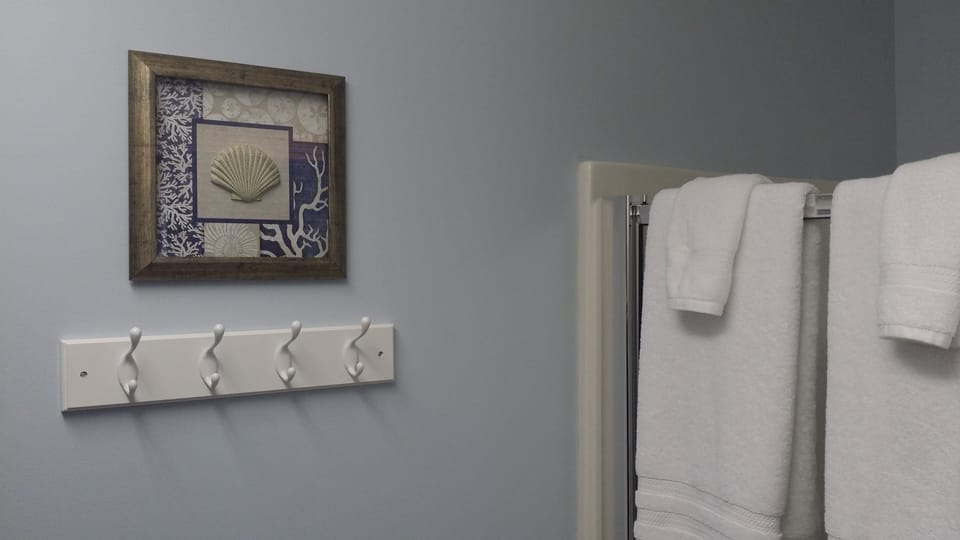 Main Floor Shower
