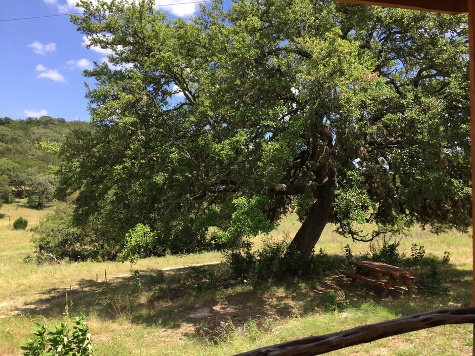 View from porch