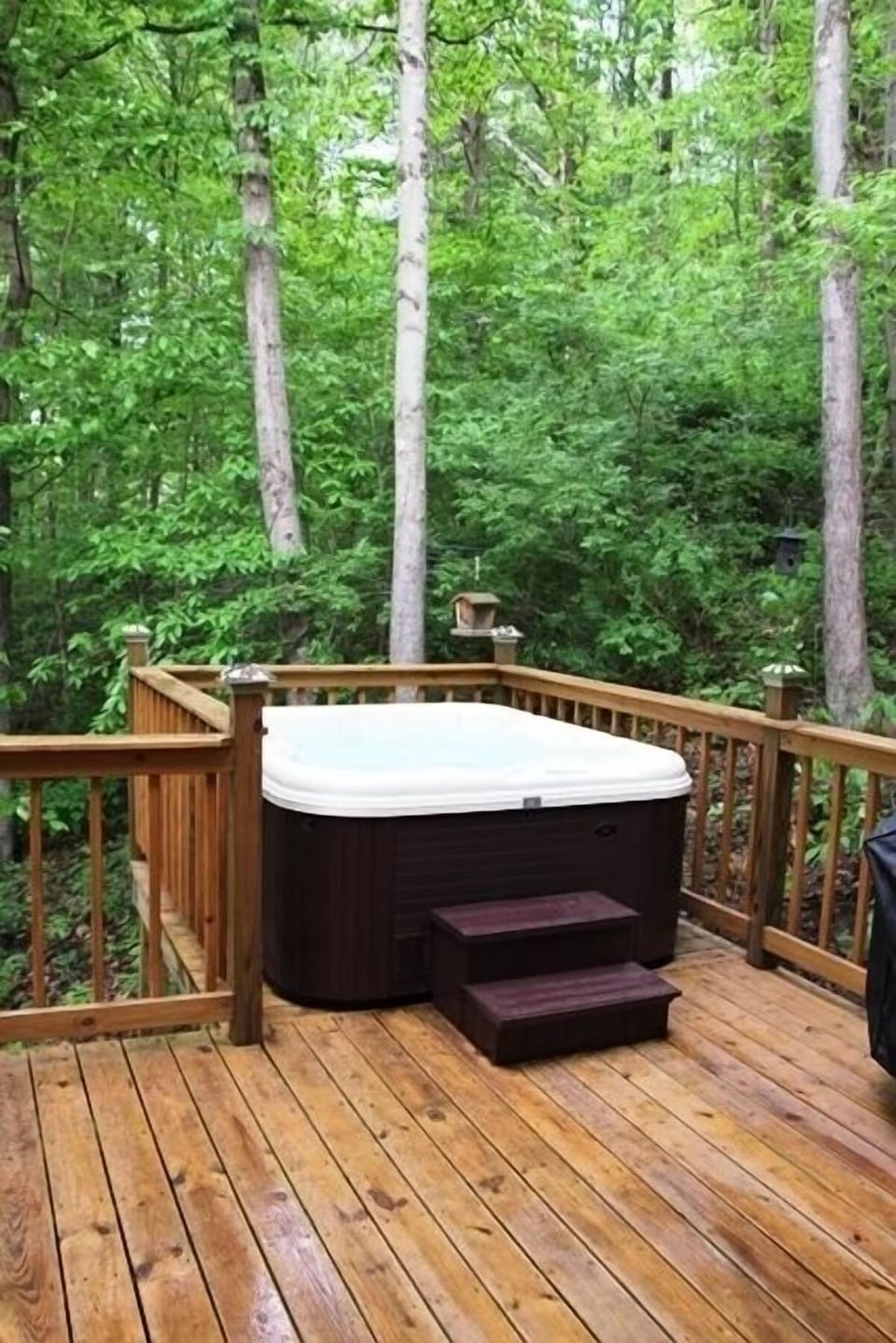 Cabin 1 Hot tub on back deck