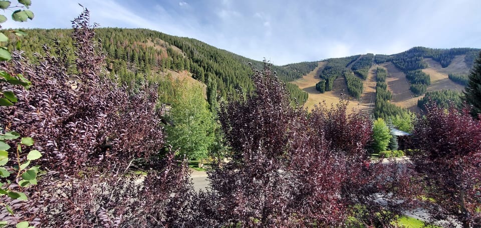 Views towards Warm Springs side of Sun Valley's Bald Mountain