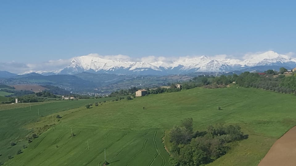 Il Piccolo Carro -  Girasole Apartment in Marche
