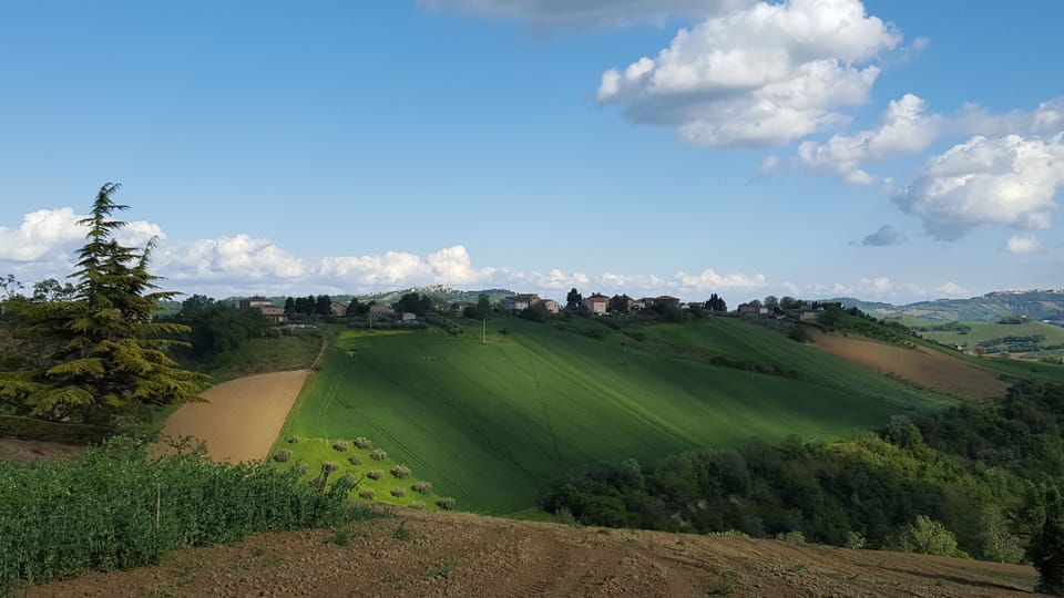 Il Piccolo Carro -  Girasole Apartment in Marche