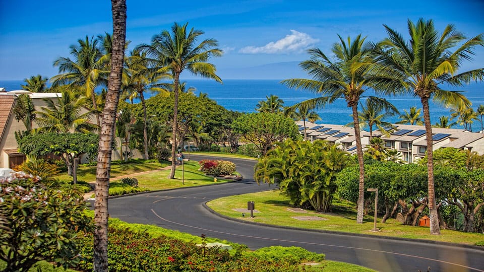 View of road leading out of Maui Kamaole.  Our condo is out of sight, to left
