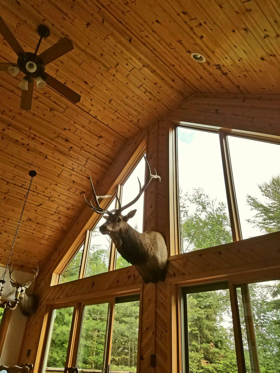 View from the living room