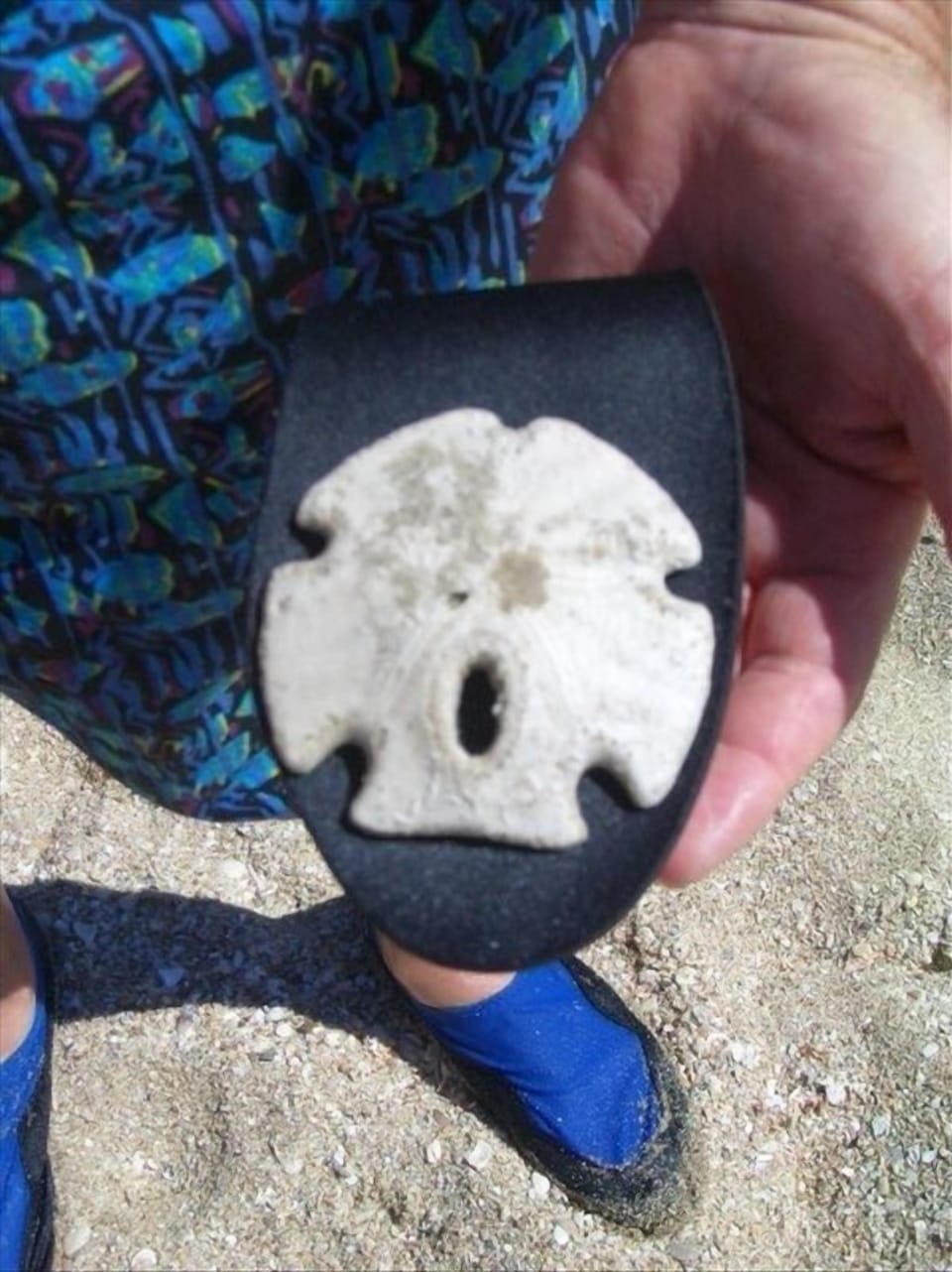 Treasures that can be found!