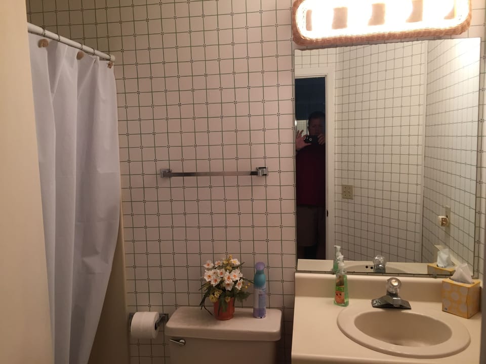 Downstairs Bath and Shower