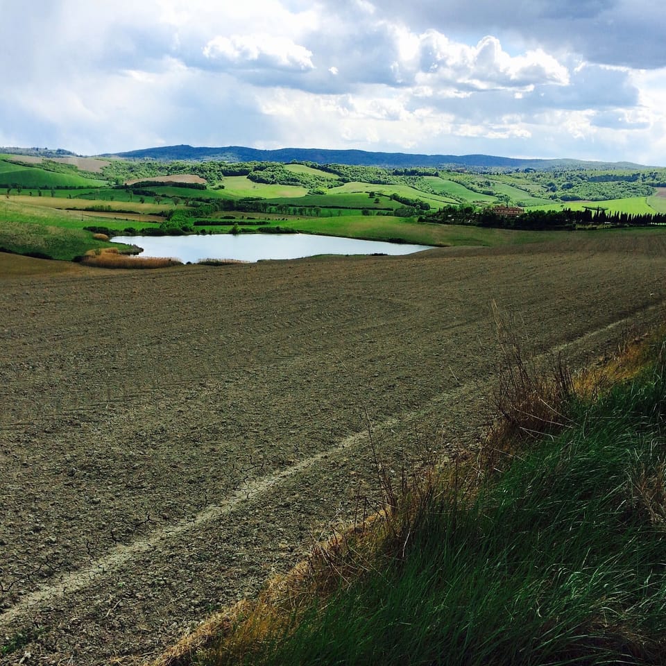 Surrounding landscape