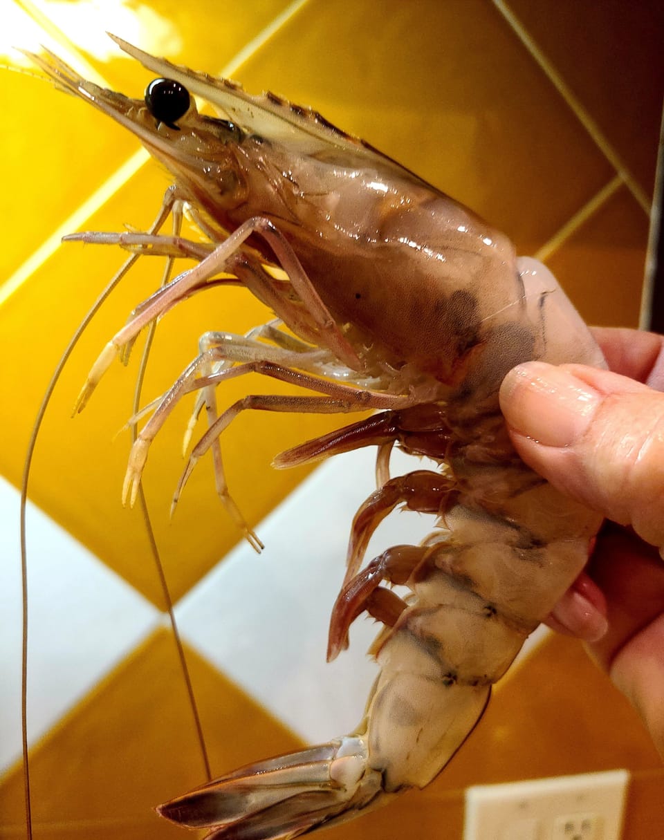 huge shrimp fresh from the sea