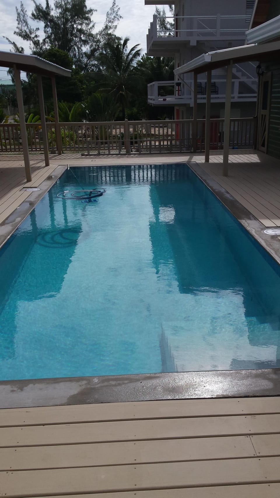 Outdoor Pool and Courtyard with Custom-made patio furniture