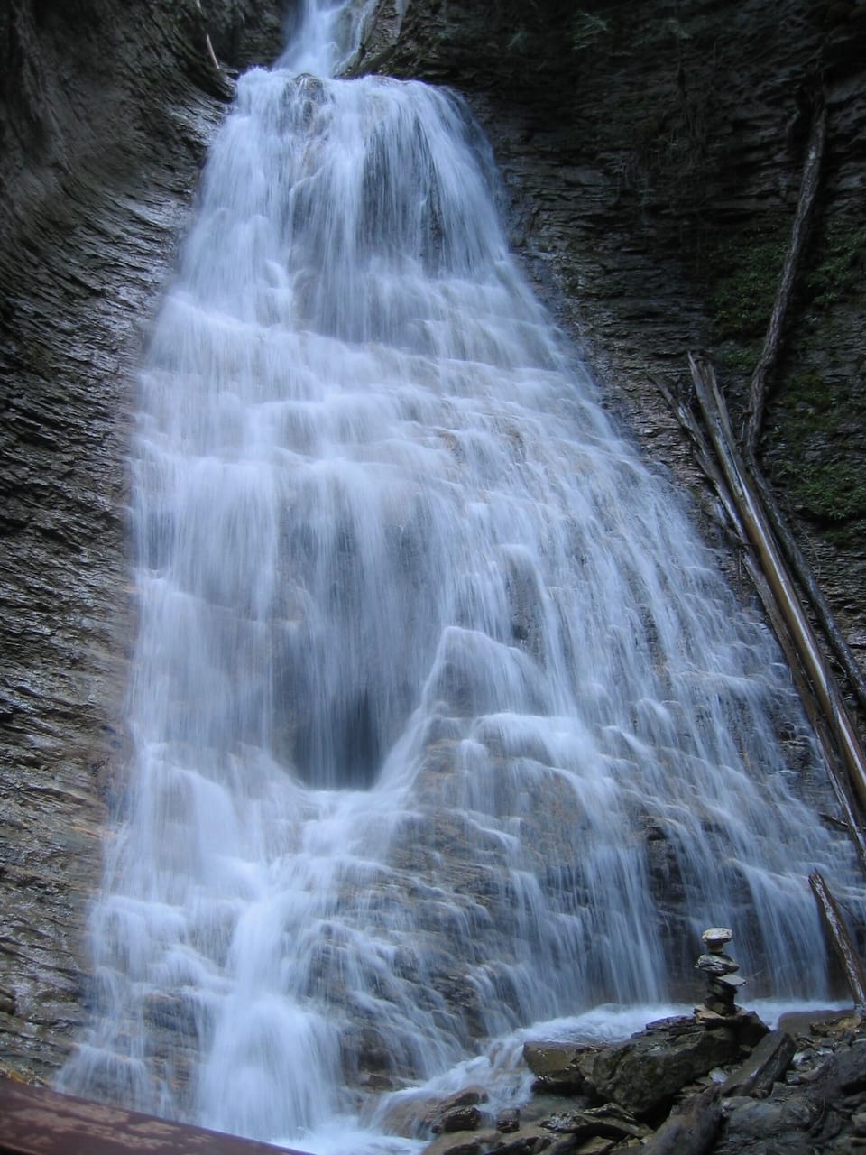 Margaret Falls - A short walk through an old-growth forest 35-minute drive away.