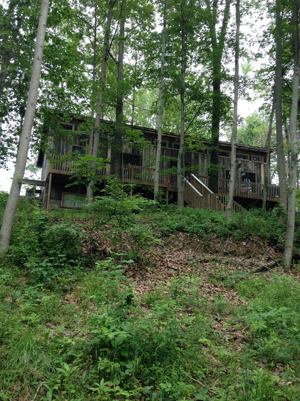 Talk Oaks is nestled amongst 100 year old oak trees.