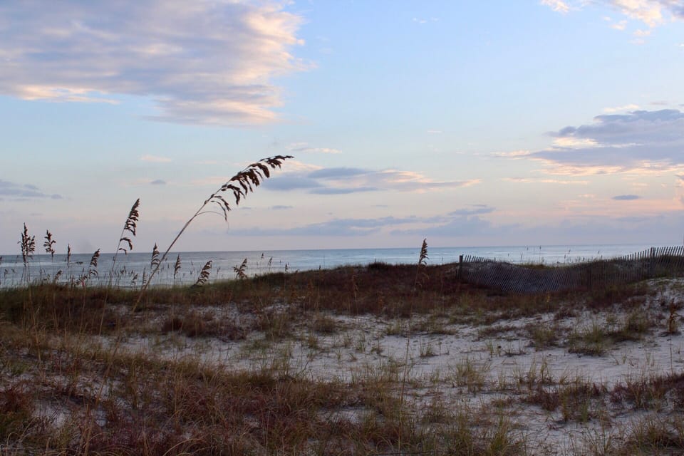 Beautiful, private dunes at Summer Breeze
