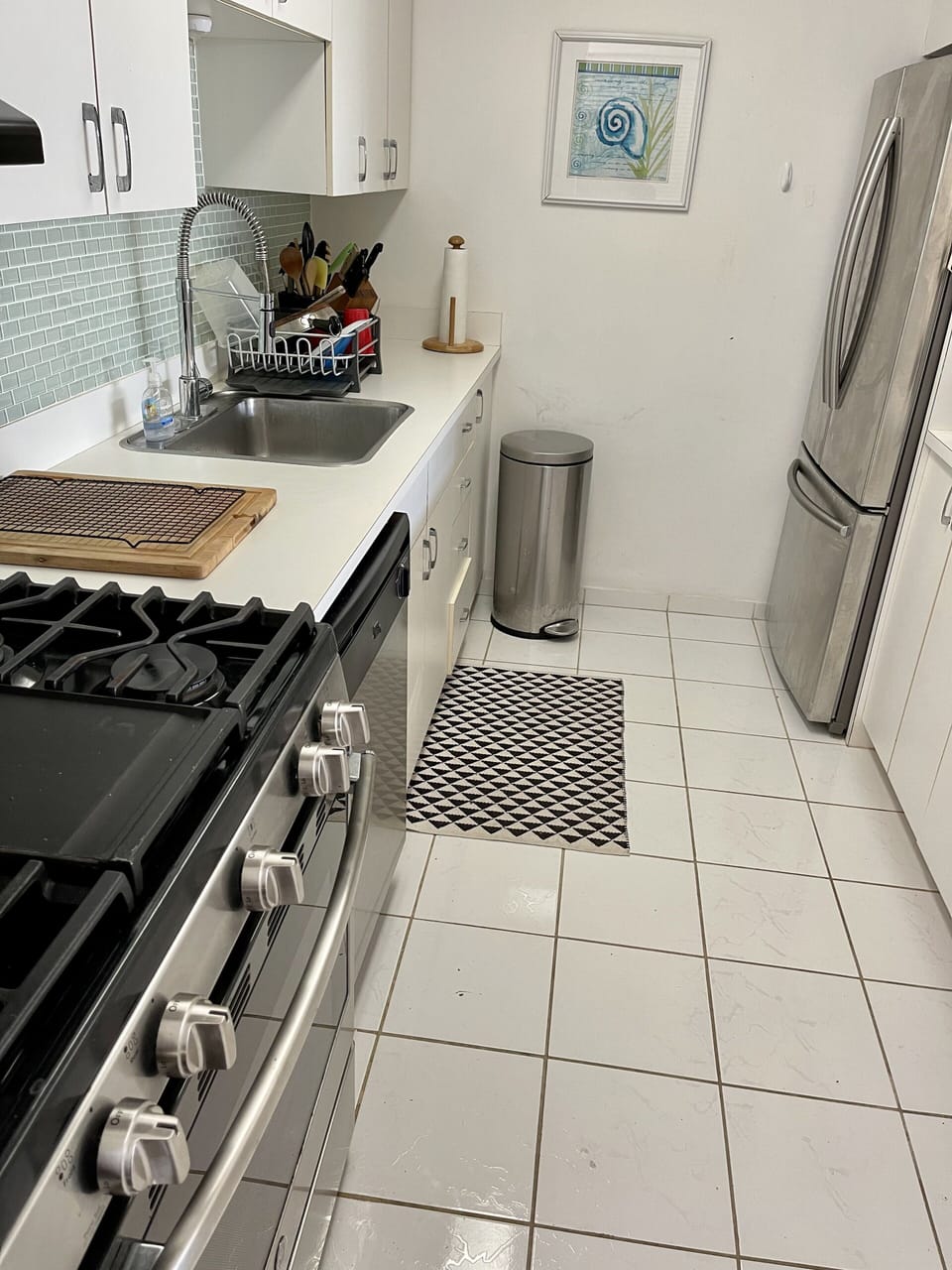 Convection Oven Gas Range
Dishwasher 
Stainless Steel Fridge
