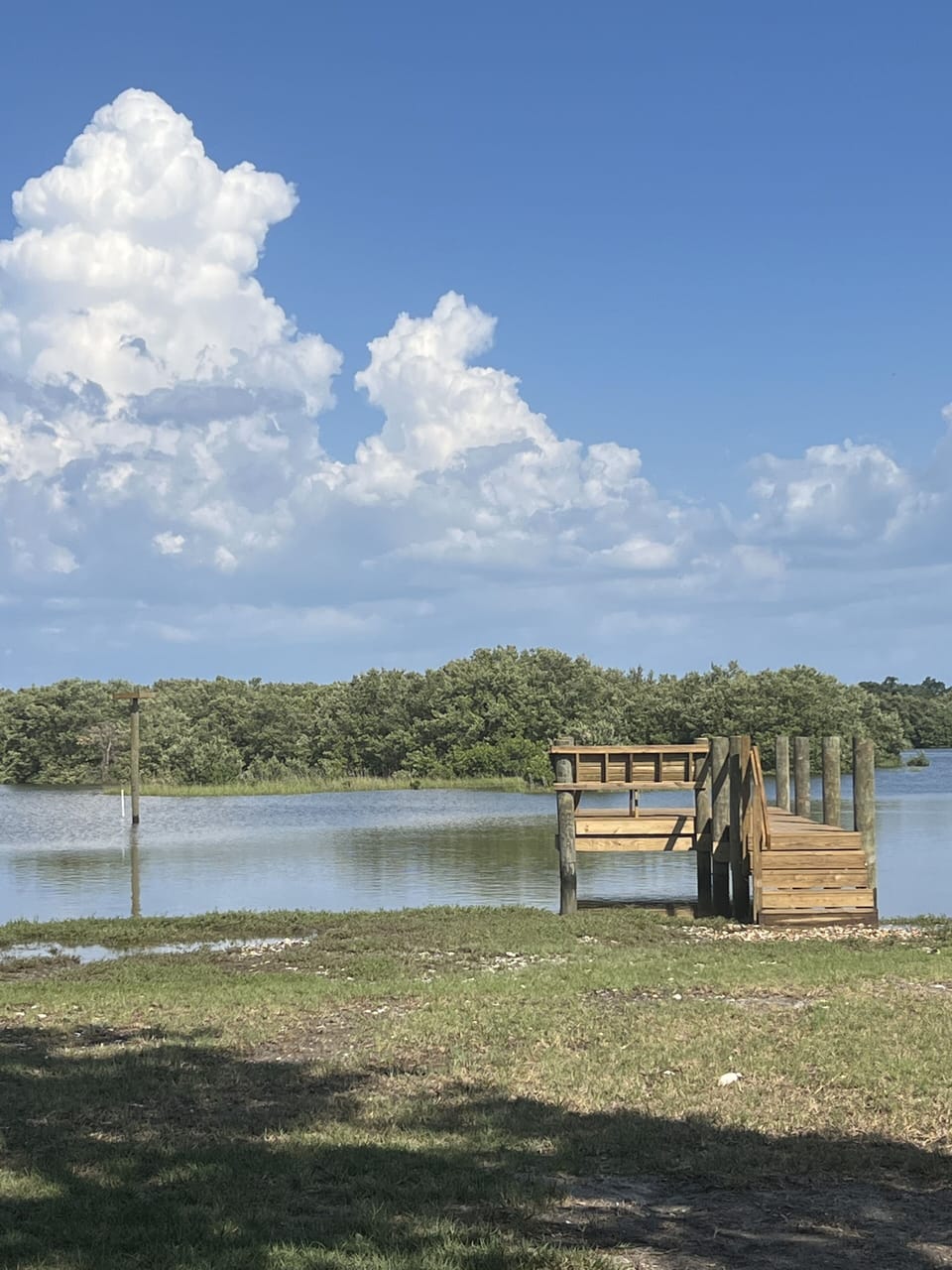 Look close at our new Osprey roost, they are just starting to find it