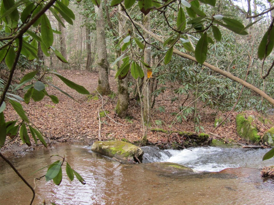 Stream is perfect for wading.
