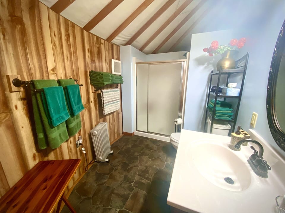 Bathroom view 1