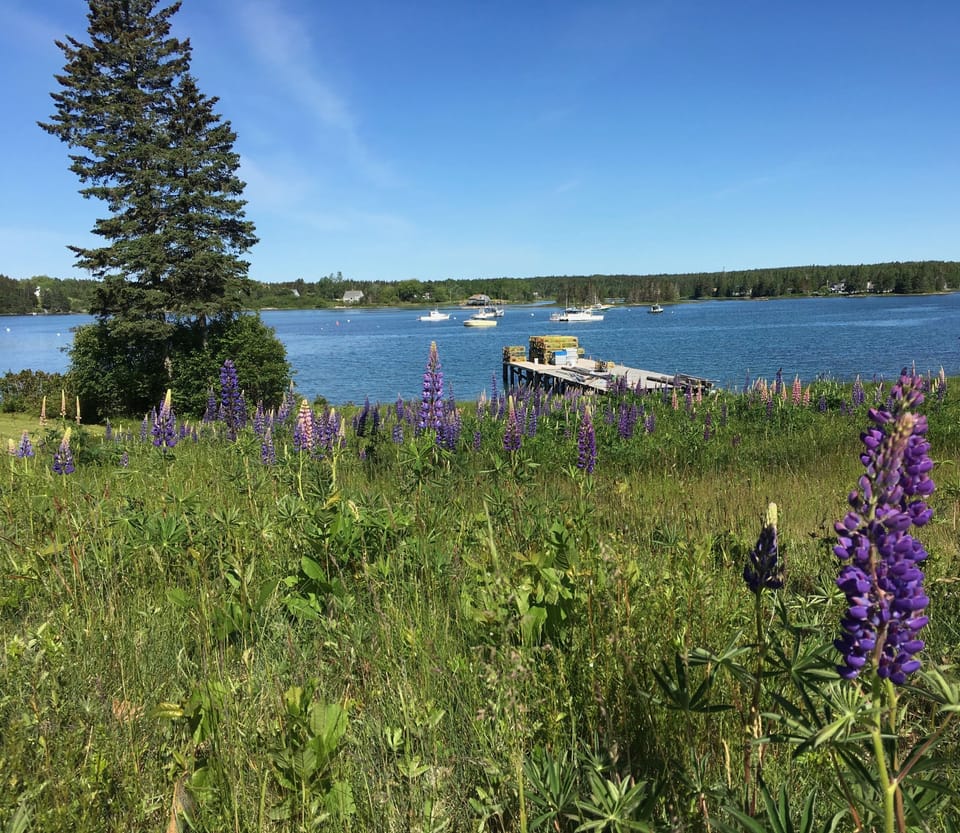 View from our backyard.