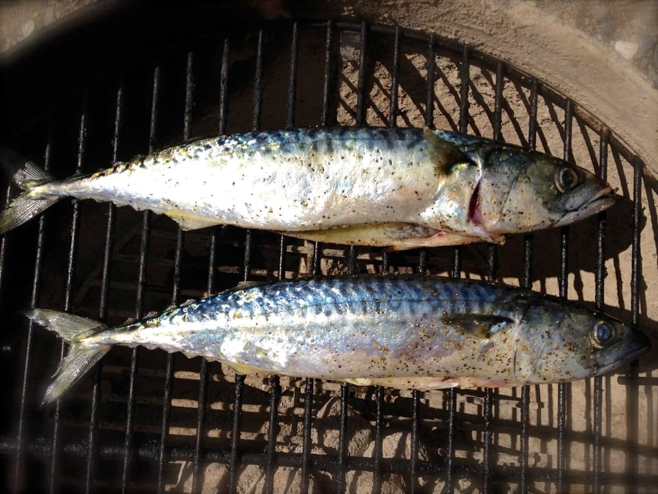 Grillin' dinnah!!!!  Fresh from Penobscot Bay...