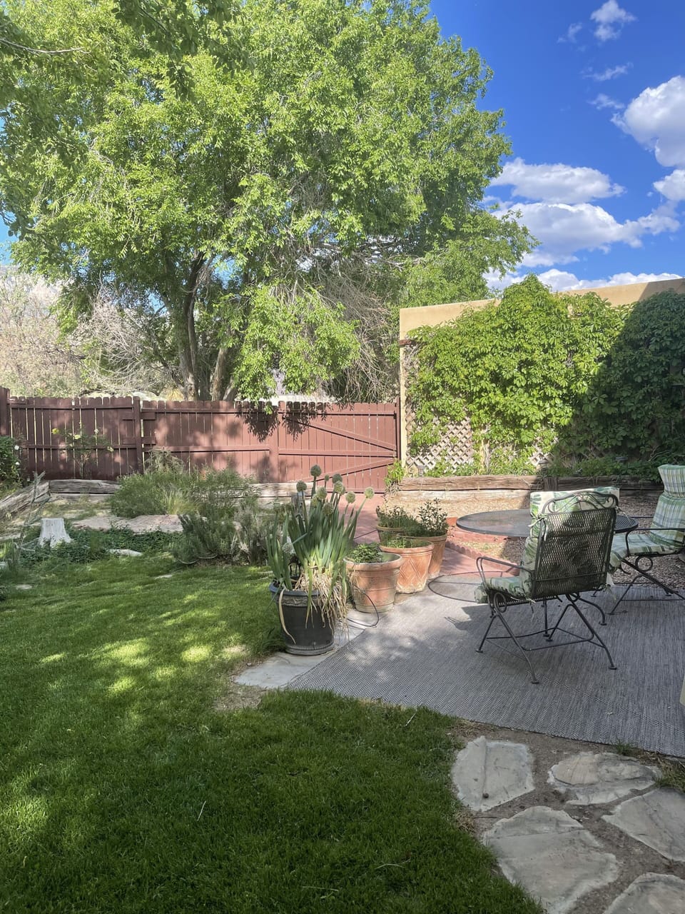 Huge backyard looking at Sandia mtn