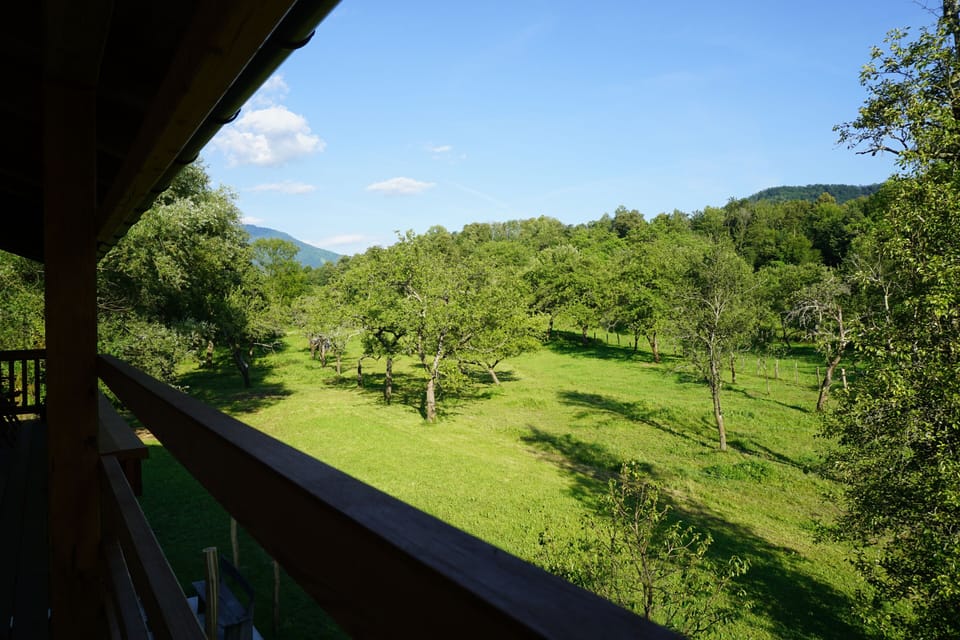 Balcony with a view of our orchard