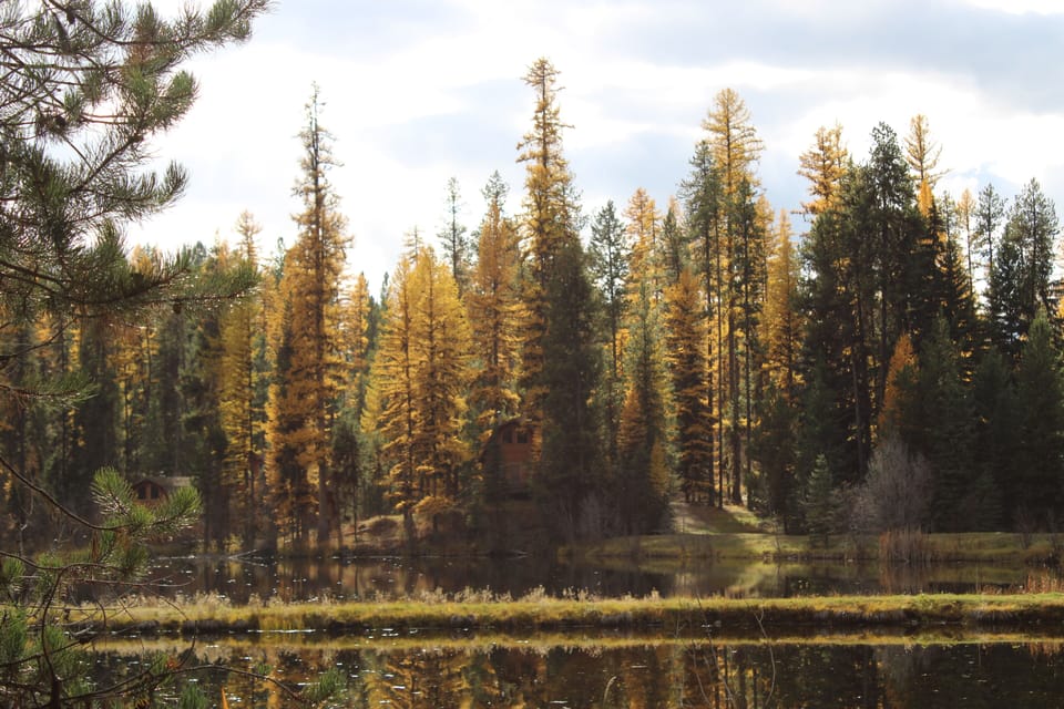 Front view of cabin from pond. 