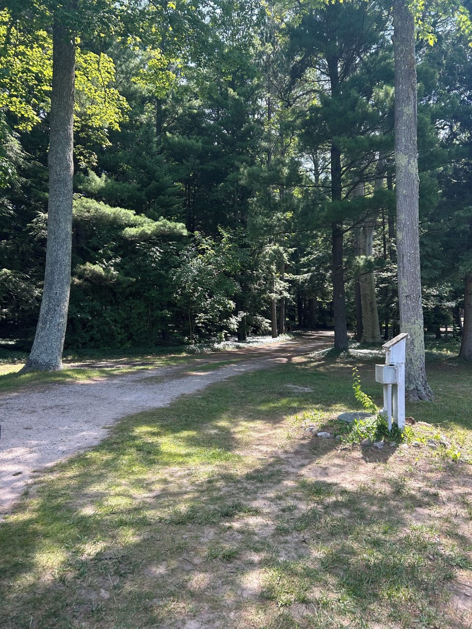 Driveway leading up to the home.