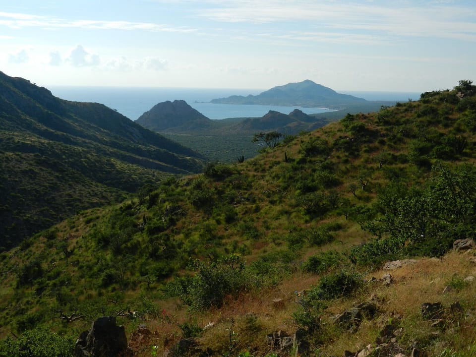 View from trail. We have 30 miles of hiking trails!