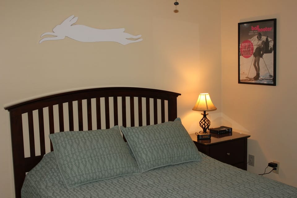 Bedroom with Queen