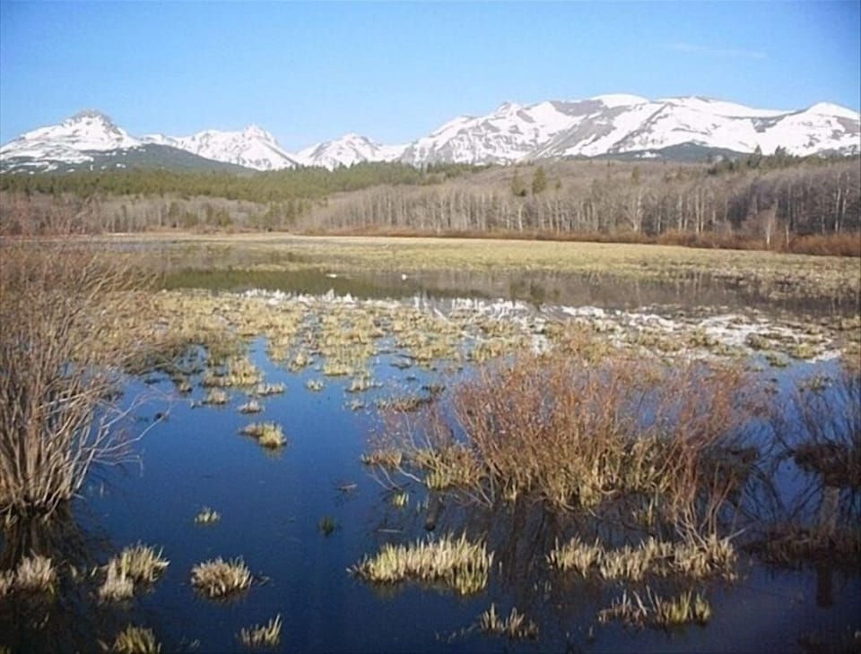 Froggy Flats, a quick saunter from the cabin.