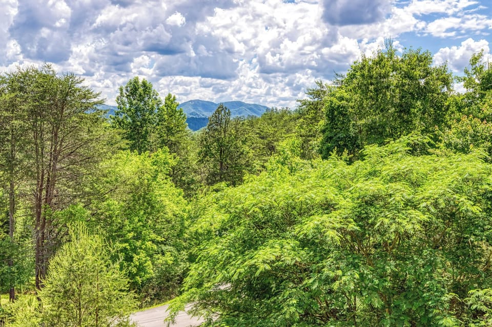 - Expansive mountain views framed by green treetops   - Serene natural scenery ideal for morning reflection   - Breathe in the fresh Smoky Mountain air and unwind
