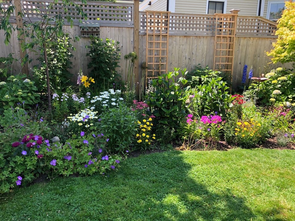 Mature landscape and colorful gardens