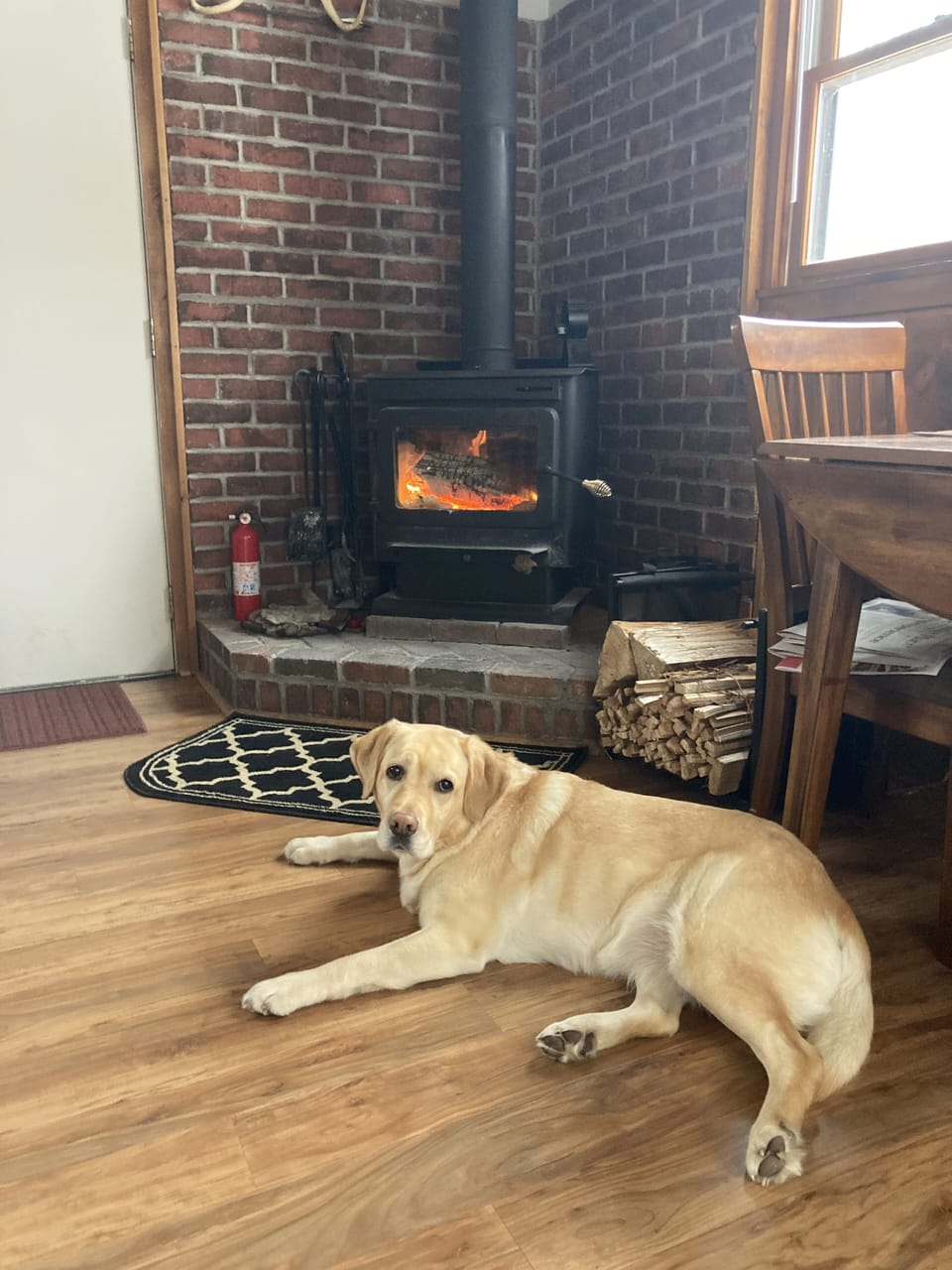 Wood burner. Yellow lab not included.