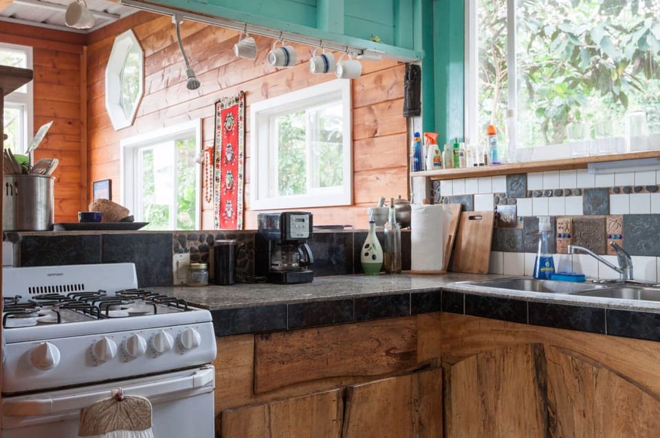 The cabinets made from mango harvested on the property. The tiles above the sink